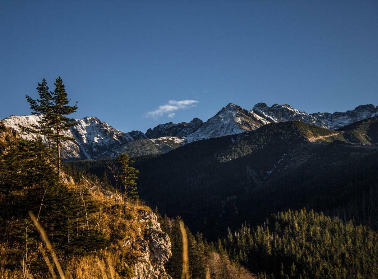 Willa Zbikowka Zakopane Dış mekan fotoğraf